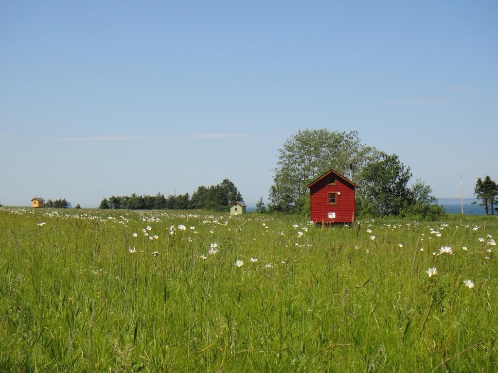 Вилла Domaine Floravie Бик Экстерьер фото