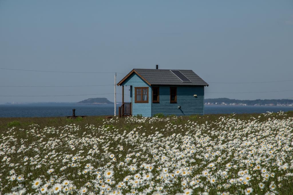 Вилла Domaine Floravie Бик Экстерьер фото