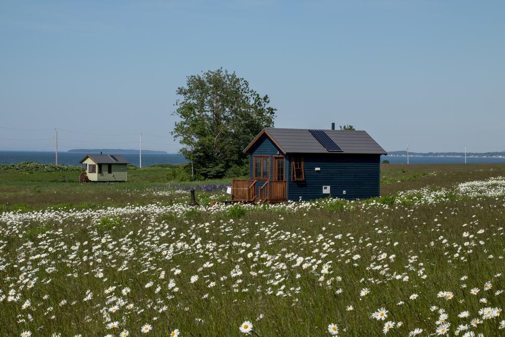 Вилла Domaine Floravie Бик Экстерьер фото