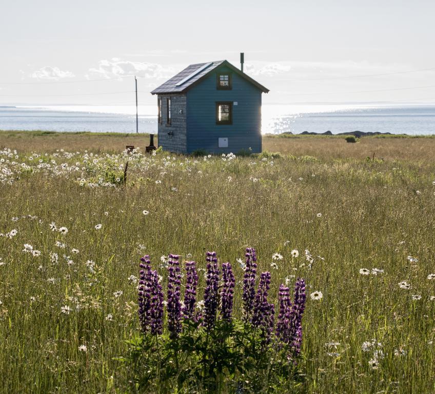 Вилла Domaine Floravie Бик Экстерьер фото